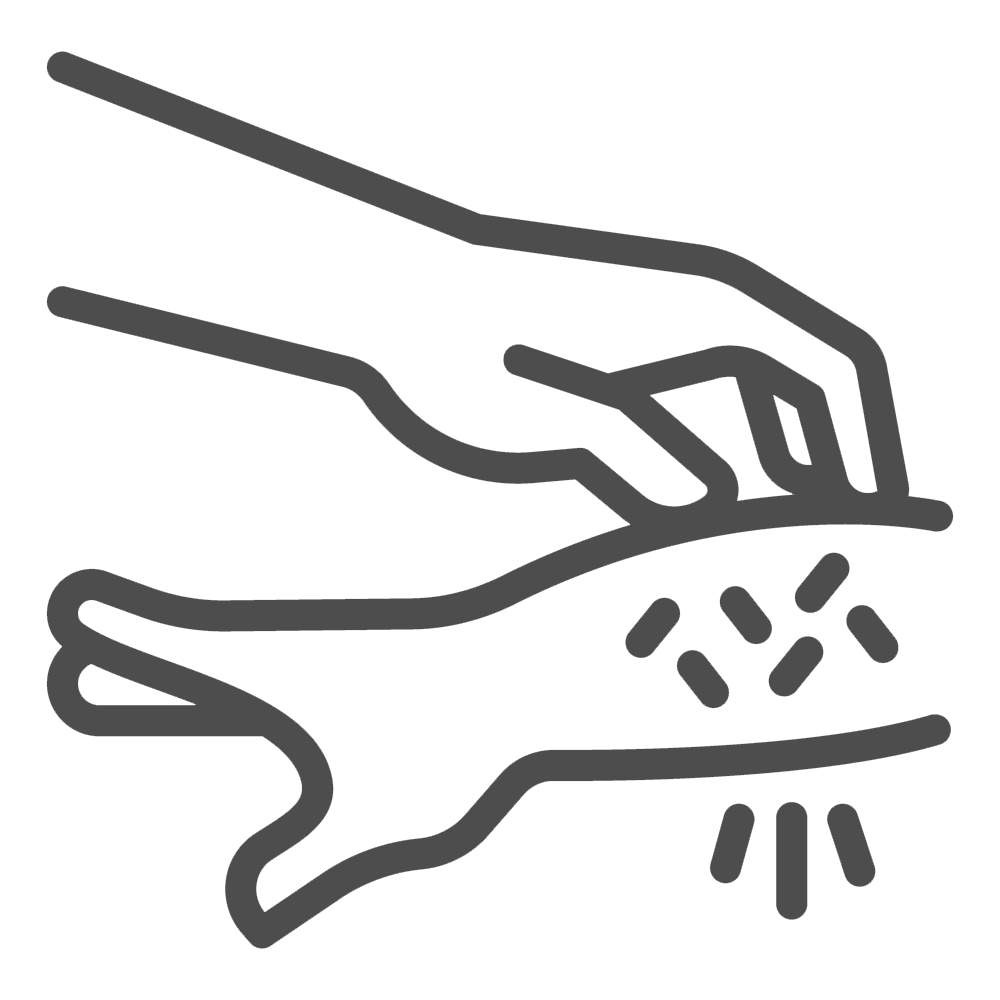 icon2
